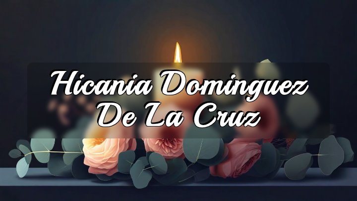 Hicania Dominguez De La Cruz, Linden, New Jersey